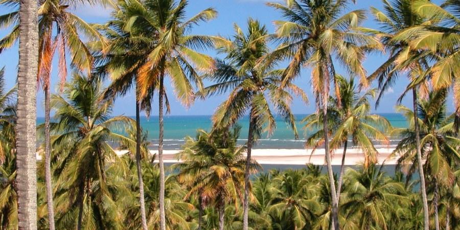 Barravilha Chalet *